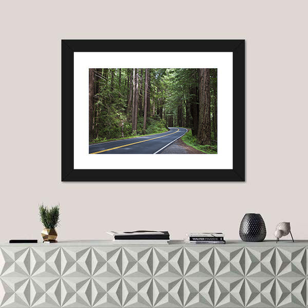 Redwoods Forest In California Canvas Wall Art