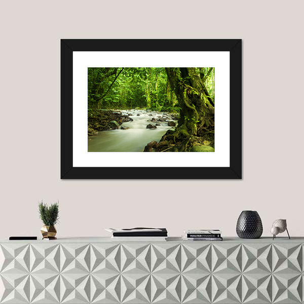 Tropical River At Selangor State In Malaysia Canvas Wall Art