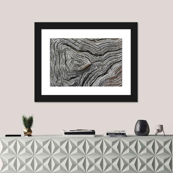 Weathered Wood Grain Macro Canvas Wall Art