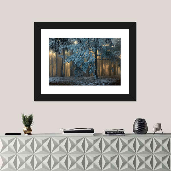 Fog In The forest In Uludag Turkey Canvas Wall Art