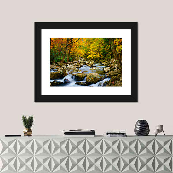 Rushing Stream in Great Smokey Mountains Canvas Wall Art