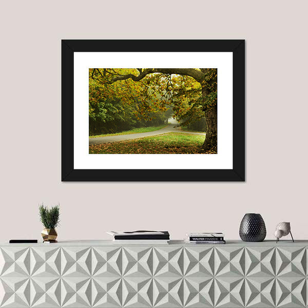 Misty Autumn Forked Path Canvas Wall Art