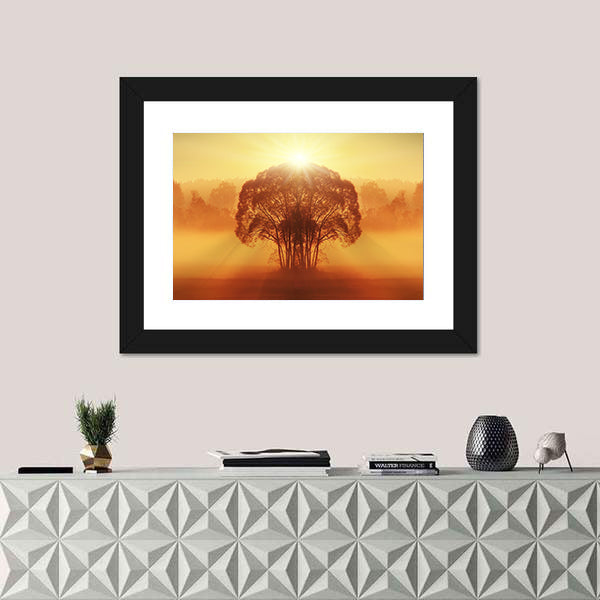 Lone Tree in Golden Morning Mist Canvas Wall Art