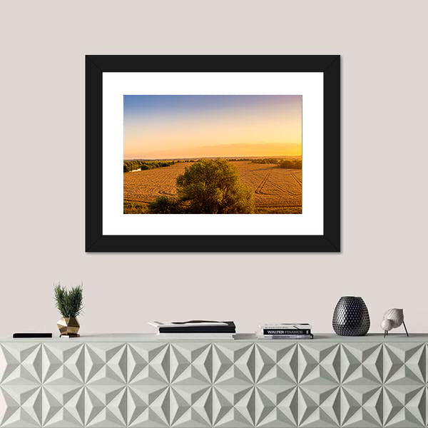 Sunset Over Golden Field with Curved Tracks Canvas Wall Art
