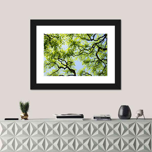 Tree Canopy with Bright Blue Sky Canvas Wall Art