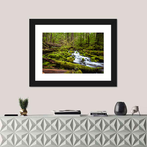 Sol Duc Falls Trail In Olympic National Park Canvas Wall Art