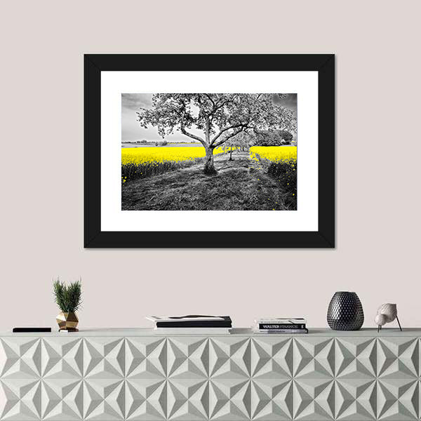 Yellow Canola Field with Large Tree and Path Canvas Wall Art