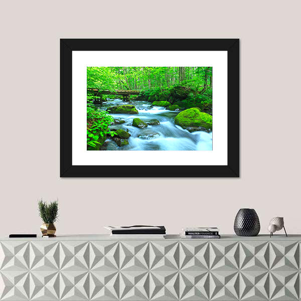 Stream In Spring Forest Canvas Wall Art