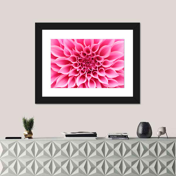 Pink Dahlia Flower Canvas Wall Art
