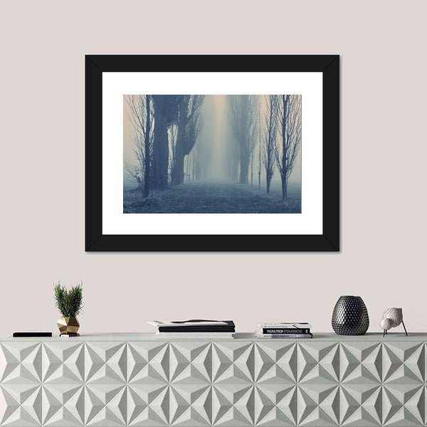 Autumn Fog in the Old Forest Canvas Wall Art