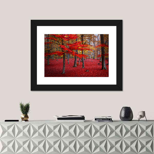 Red Trees In The Forest During Fall Canvas Wall Art