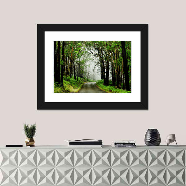 Forest Road With Fog Canvas Wall Art
