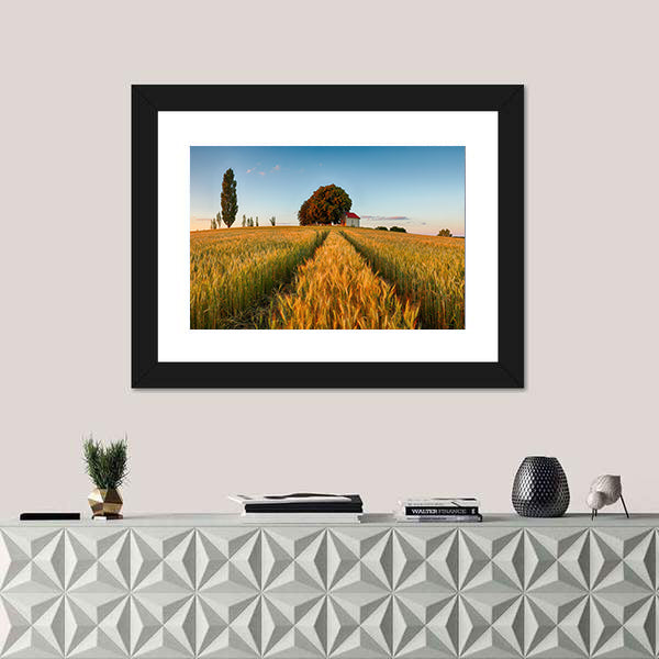 Summer Wheat Field at Golden Hour Canvas Wall Art