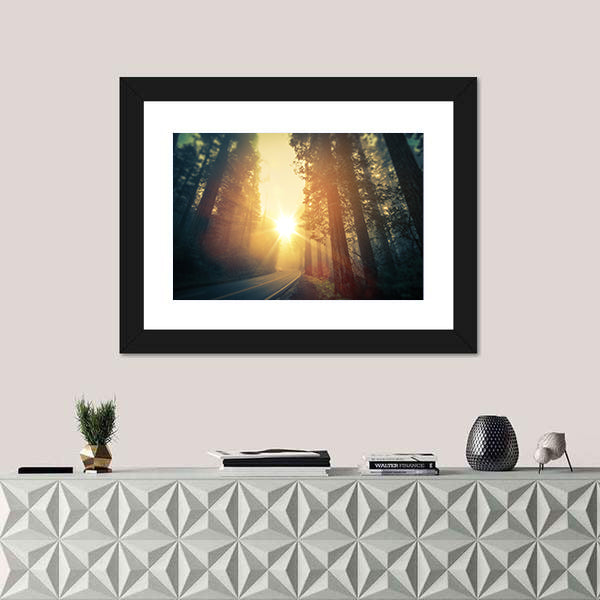 Foggy Redwood Forest Road Canvas Wall Art
