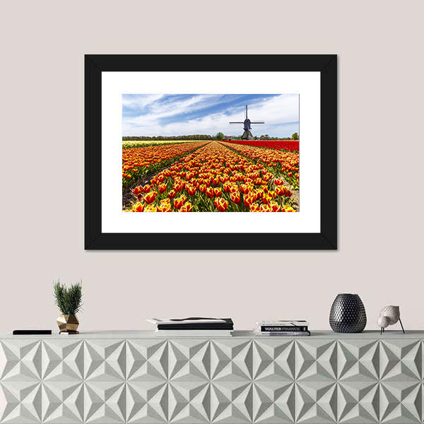 Colorful Tulip Field with Dutch Windmill Canvas Wall Art