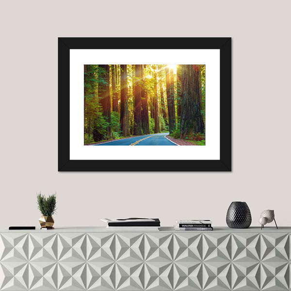 Redwood Highway In Northern California Canvas Wall Art