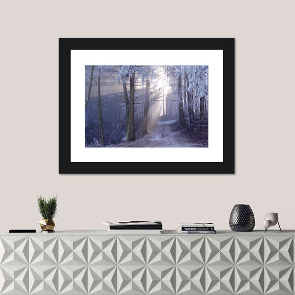 Mystic Forest Track Canvas Wall Art