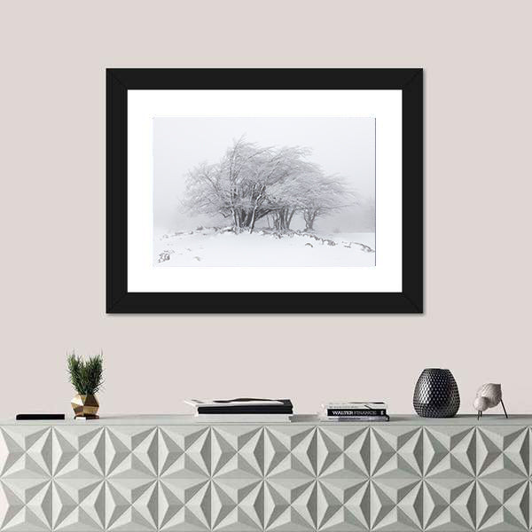 Foggy Winter Landscape In The Forest Canvas Wall Art