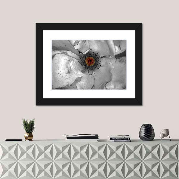 Selective Color Macro Flower Canvas Wall Art