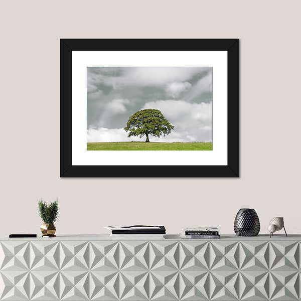Summer Oak on Grassy Hill Canvas Wall Art