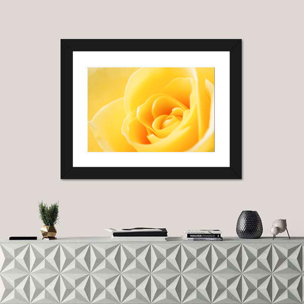 Yellow Rose Close-Up Canvas Wall Art