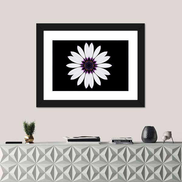 White Flower Mandala Canvas Wall Art0