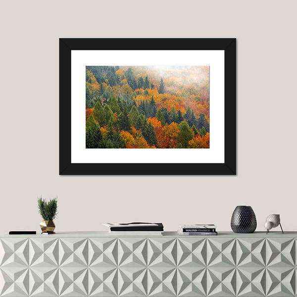 Foggy Autumn Forest In Romania Canvas Wall Art