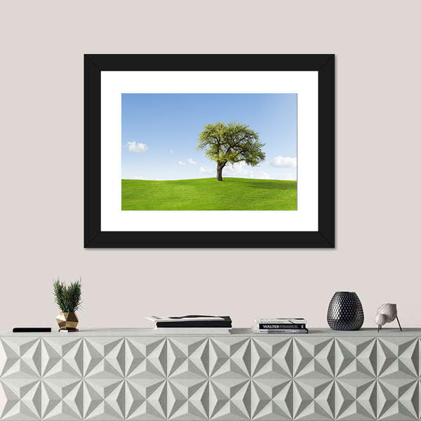 Solitary Tree on Sunny Green Hill Canvas Wall Art