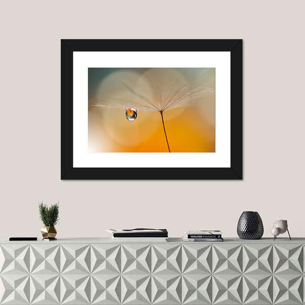 Dandelion Seed with Water Droplet Canvas Wall Art