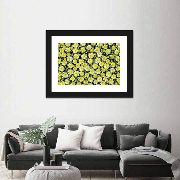 Yellow and White Chrysanthemums Canvas Wall Art