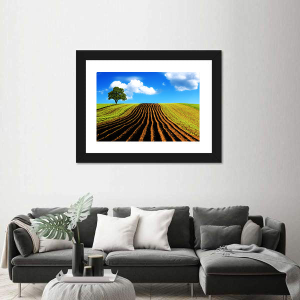 Ploughed Field with Lone Tree Canvas Wall Art