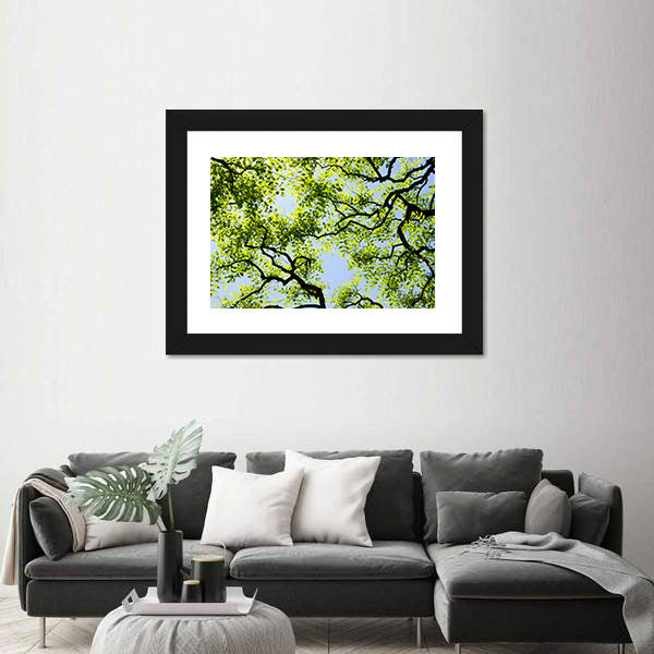 Tree Canopy with Bright Blue Sky Canvas Wall Art