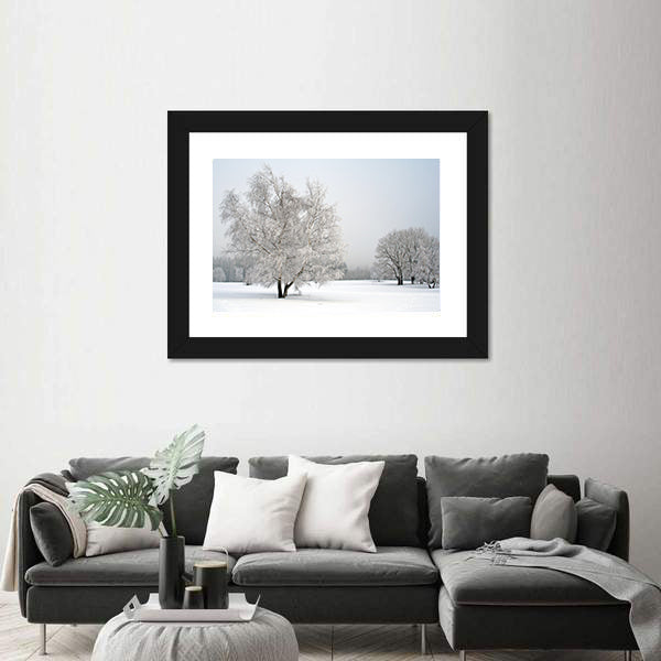 Frosted Trees in Snowy Field Canvas Wall Art