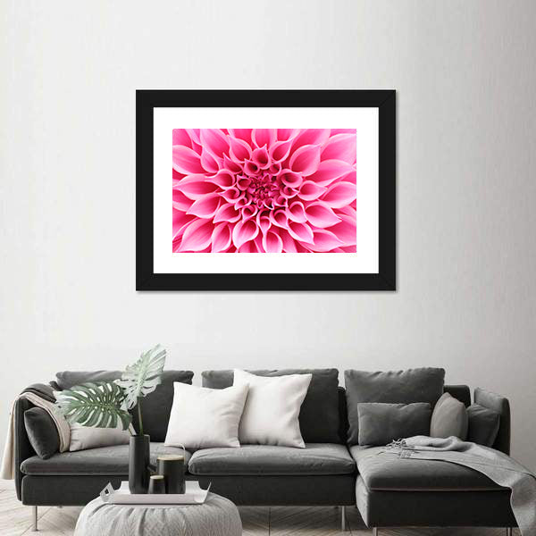 Pink Dahlia Flower Canvas Wall Art
