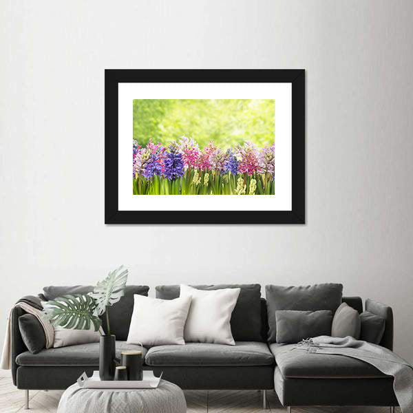 Blooming Spring Hyacinths Flowers Plant In Garden Canvas Wall Art