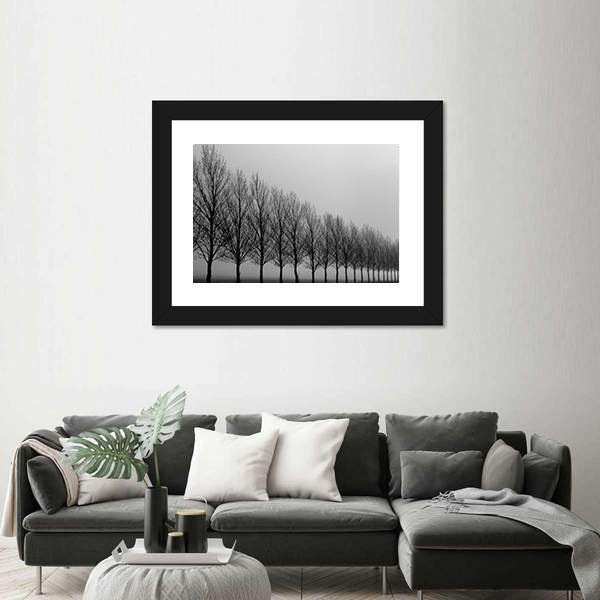 Autumn Trees in Mist Canvas Wall Art