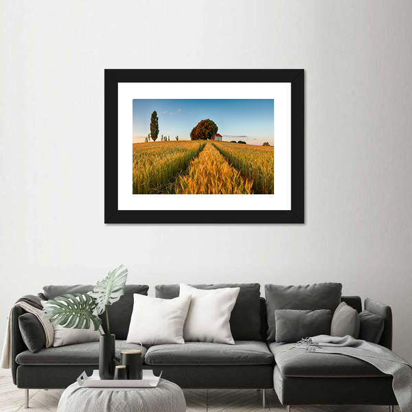 Summer Wheat Field at Golden Hour Canvas Wall Art