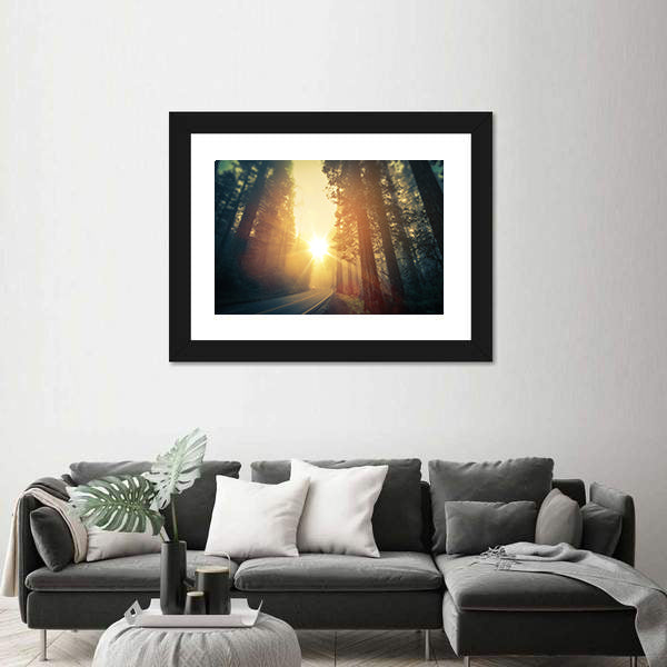 Foggy Redwood Forest Road Canvas Wall Art