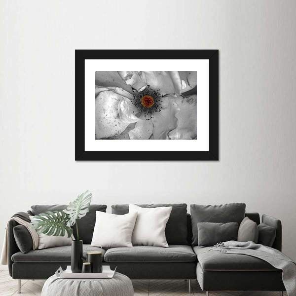Selective Color Macro Flower Canvas Wall Art