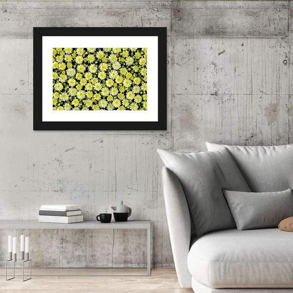 Yellow and White Chrysanthemums Canvas Wall Art