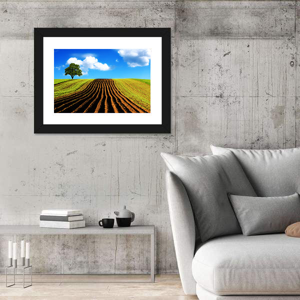 Ploughed Field with Lone Tree Canvas Wall Art