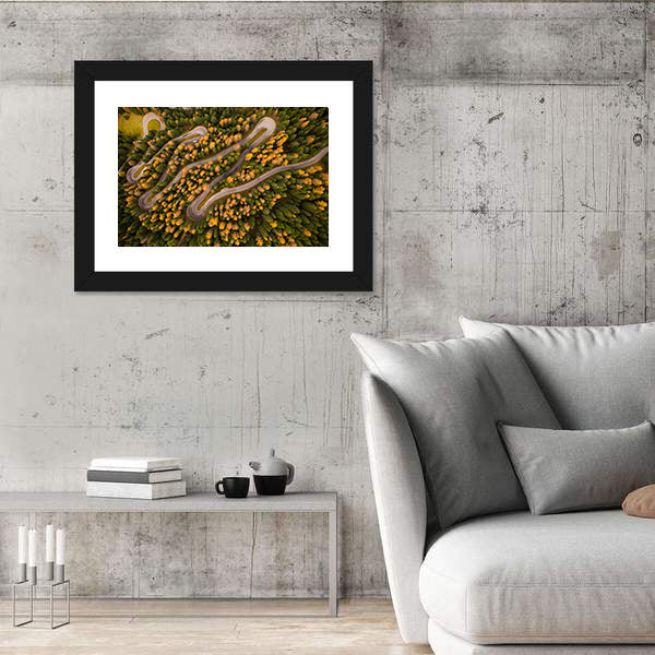Curvy Road In Autumn Forest Canvas Wall Art