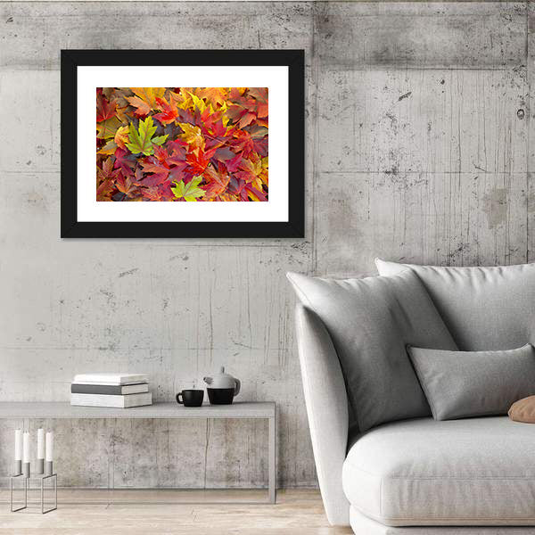 Colorful Maple Leaves Canvas Wall Art