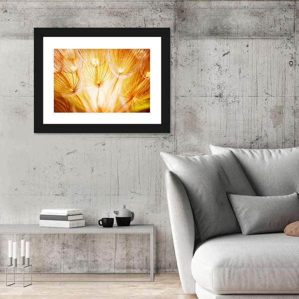 Soft Dandelion Flower Canvas Wall Art