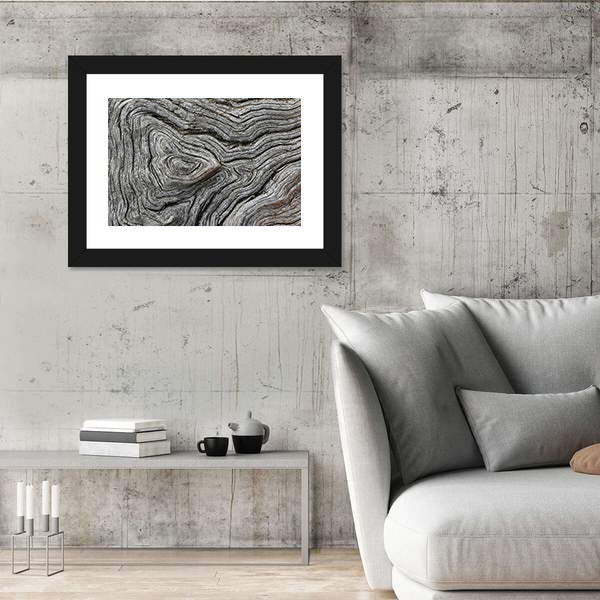 Weathered Wood Grain Macro Canvas Wall Art