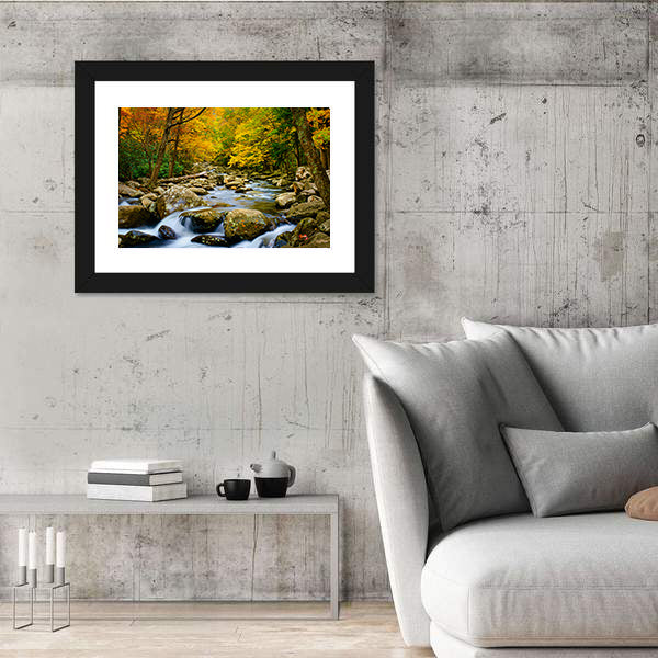Rushing Stream in Great Smokey Mountains Canvas Wall Art