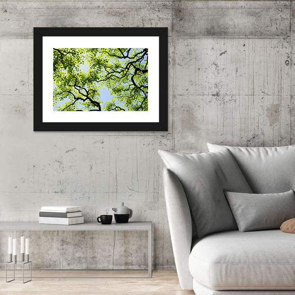 Tree Canopy with Bright Blue Sky Canvas Wall Art