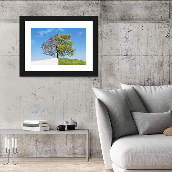 Tree Split Between Winter and Summer Canvas Wall Art