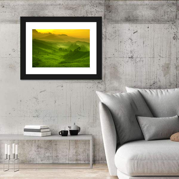 Tea Plantation In Cameron Highland At Sunrise Canvas Wall Art