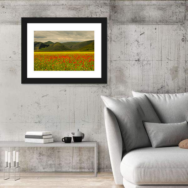 Castelluccio Di Norcia Meadow with Red Poppies Canvas Wall Art